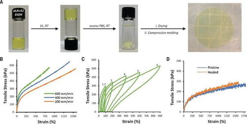 粘合剂,登上science正刊