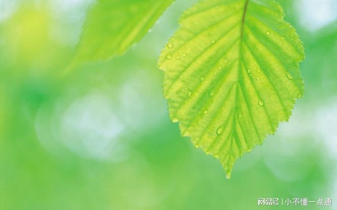 混凝土缓凝剂与高性能减水剂 现代混凝土工程的关键辅料生产与应用