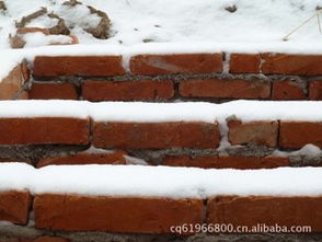 高性价比早强减水剂与高性能混凝土减水剂的生产技术与市场前景